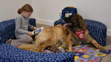 a girl reading a book to a large dog
