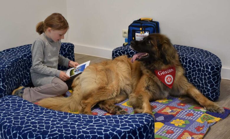a girl reading a book to a large dog
