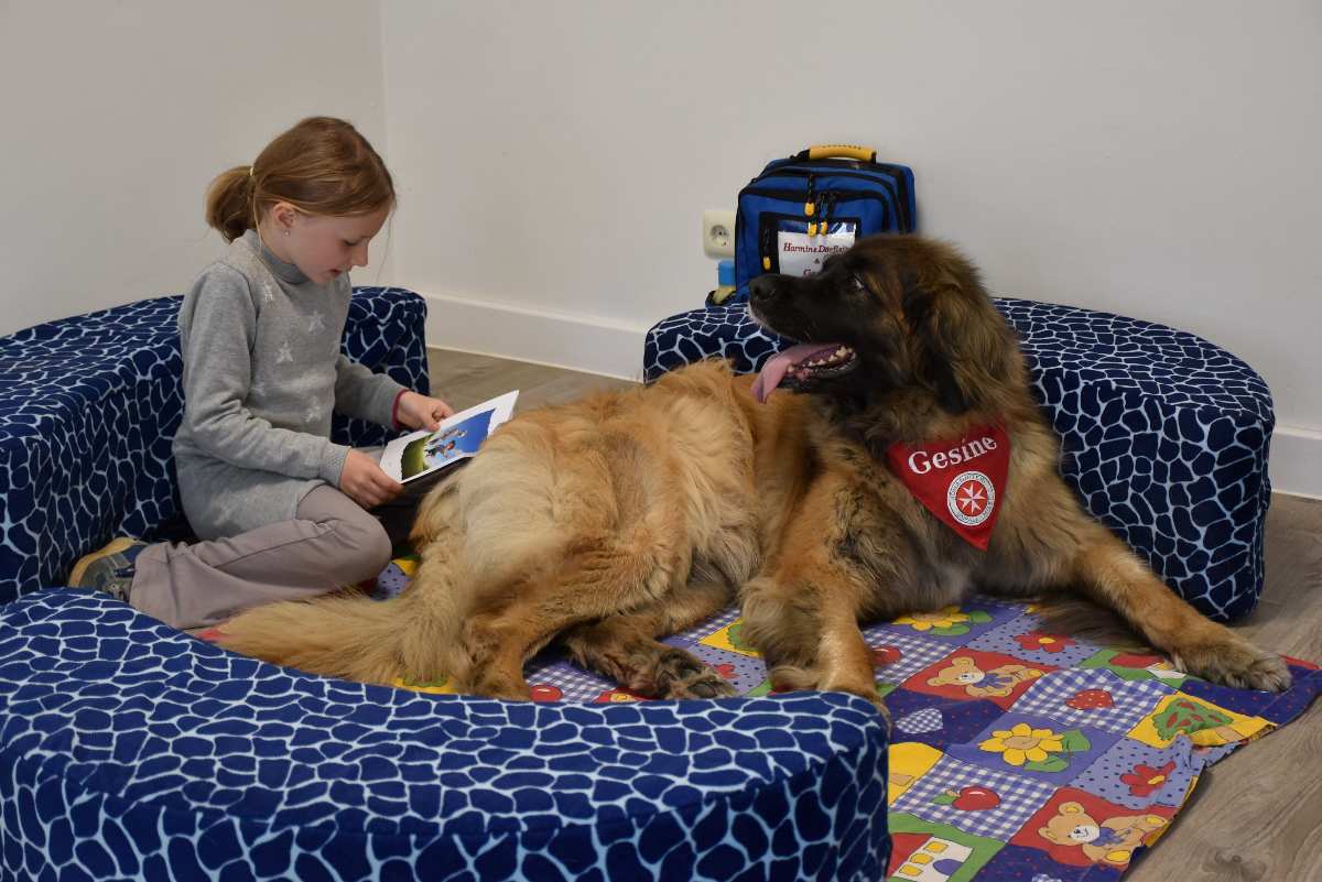 a girl reading a book to a large dog