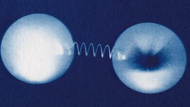 a close-up of a pair of circles