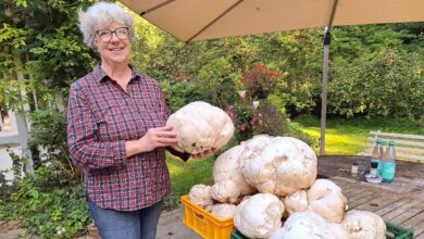 a woman holding a large white mushroom