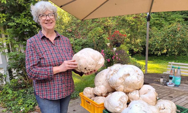 Riesenfund in Rosengarten: Bürgermeisterin entdeckt über 25 Kilo Riesenboviste 8 a woman holding a large white mushroom