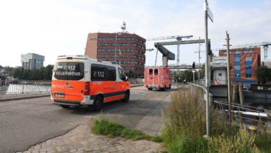 a two orange and white vans on a road