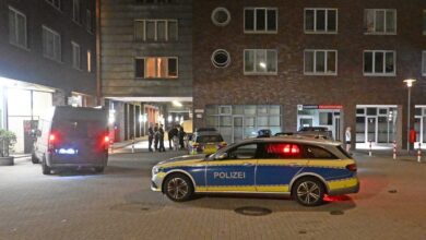police cars parked in a street