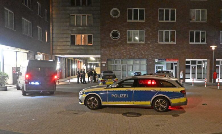 police cars parked in a street