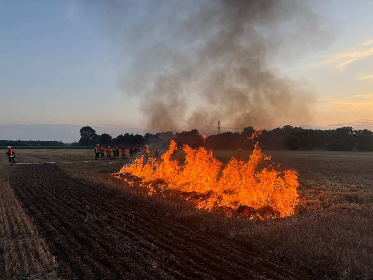 a fire in a field