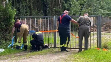 a group of people standing next to a fence
