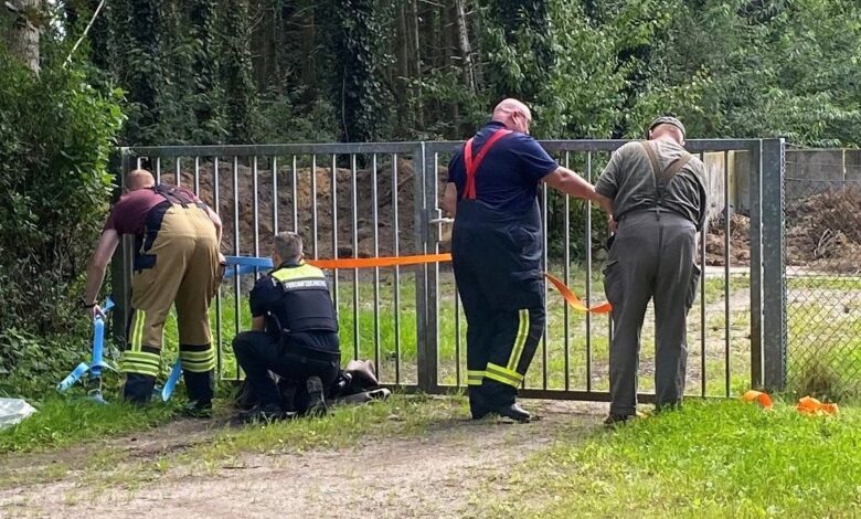 a group of people standing next to a fence