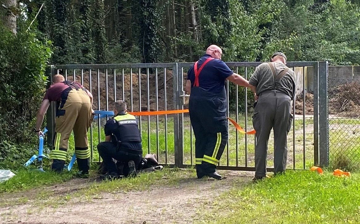 a group of people standing next to a fence