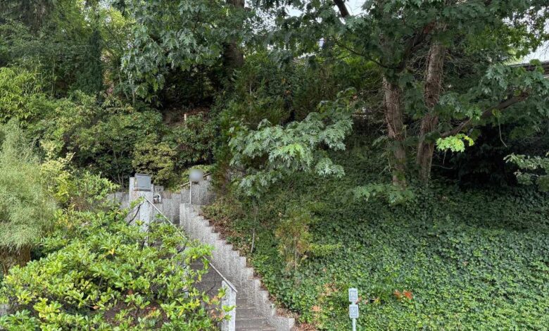 Brutaler Raub am Dahlengrund: Trio prügelt auf Rentner ein und vergräbt mutmaßliche Beute 4 Treppenaufgang umgeben von Pflanzen