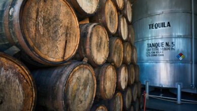 Fässer und Tank für Tequila-Produktion