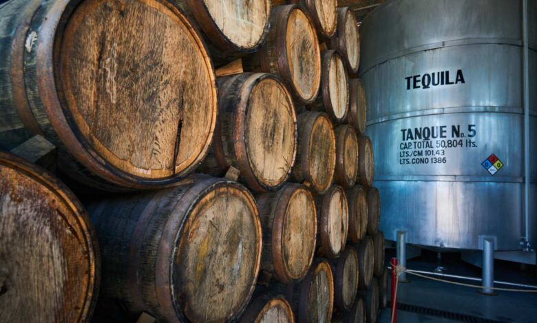 Hittfeld: Weltenbummler berichten von 6,5 Monaten Abenteuer zwischen Südsee und Mexiko 7 Fässer und Tank für Tequila-Produktion