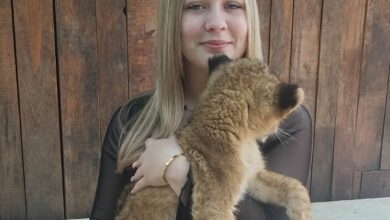 Frau hält Löwenjunges in den Händen.