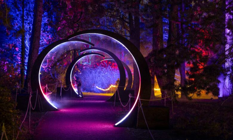 Christmas Garden Hamburg startet im November – funkelnde Lichter und mehr Familientage 7 Leuchtende Tunnel im nächtlichen Wald