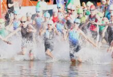 Schwimmer starten in einen Wettkampf.