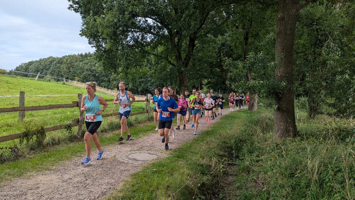 Rekordstimmung beim 6. Rosengartenlauf: 1499 Läufer im Ziel und begeistertes Publikum 1 Läufer auf einem Waldweg unterwegs.