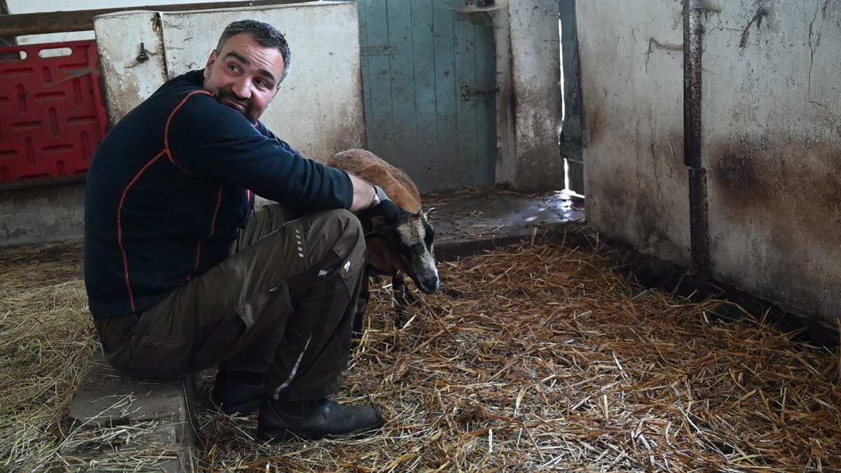 Mann sitzt neben einem Tier.