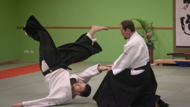Sportlich durch den Herbst: Neue Indoor-Angebote der Turnerschaft Harburg für jedes Alter und Niveau 2 Zwei Aikido-Praktizierende im Training.