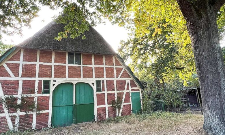 Neugraben – Wo altes Kopfsteinpflaster Geschichte erzählt: Rundgang durch das Dorfensemble 11 Traditionelles Bauernhaus mit grünem Tor