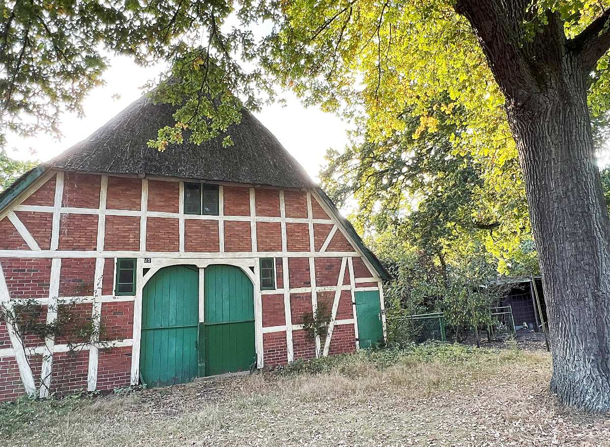 Traditionelles Bauernhaus mit grünem Tor