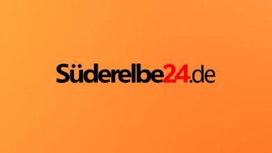 Logo von Süderelbe24 auf orangefarbenem Hintergrund
