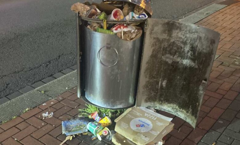 Überfüllte Mülleimer und ungepflegte Beete: FDP kritisiert Vernachlässigung in Buchholz 10 Überfüllter Mülleimer auf der Straße