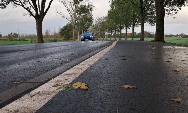 Straße Am Hohenwedel in Stade wieder frei: Sanierung zwei Wochen früher beendet 1 Neue Straße mit herbstlichen Blättern