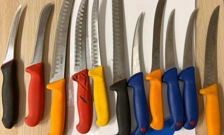 Schwerpunkteinsatz am Hauptbahnhof: Polizei stellt bei 800 Kontrollen zahlreiche Messer und Reizstoffe sicher 4 Verschiedene Messer mit bunten Griffen