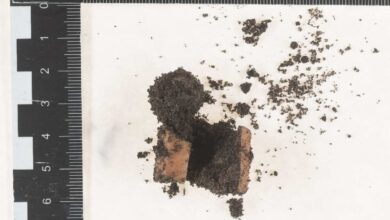 Ziegelstück mit Erde und Schutt