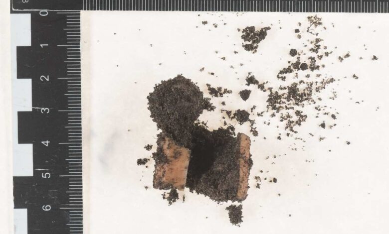 Ziegelstück mit Erde und Schutt