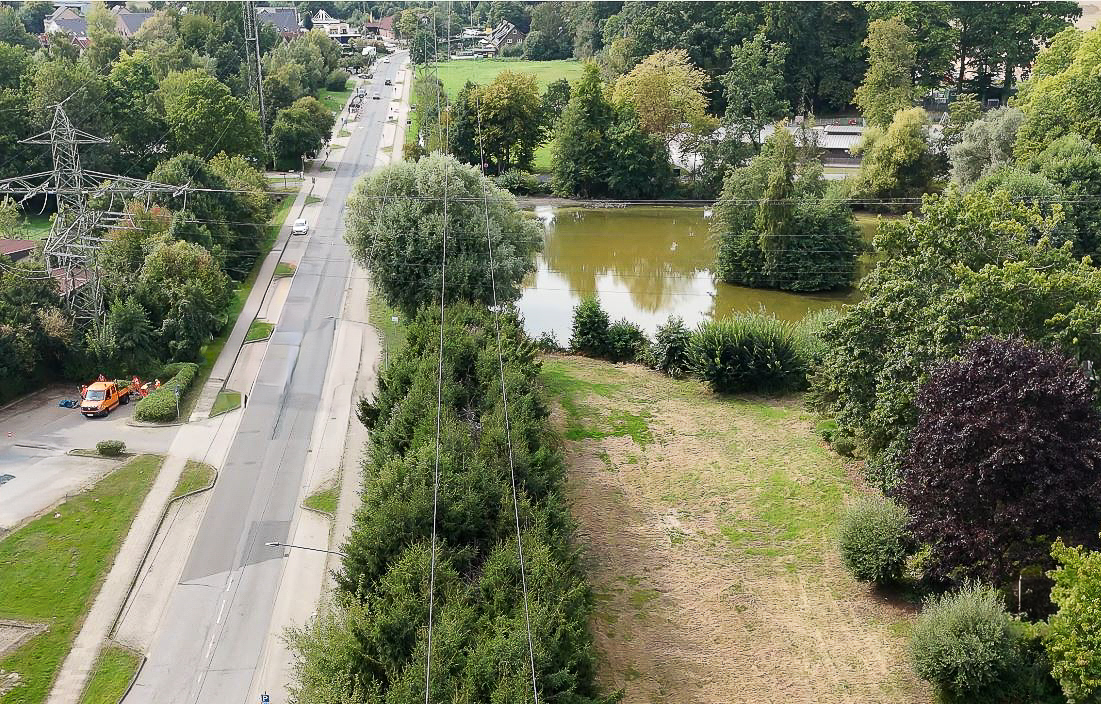 Grünes Gelände mit Teich und Straße