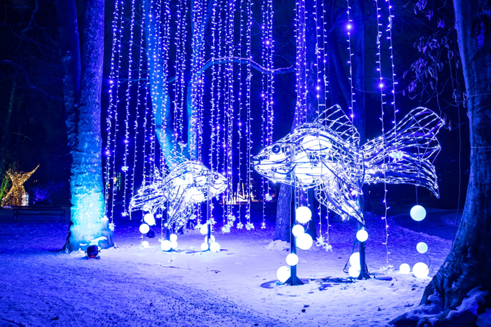 Leuchtende Fische in winterlicher Landschaft