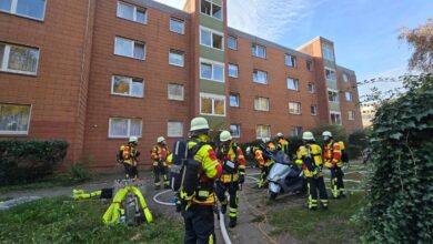 Großeinsatz in Maschen: Feuerwehr rettet elf Menschen und zwei Hunde aus brennendem Mehrfamilienhaus 5 Großeinsatz in Maschen: Feuerwehr rettet elf Menschen und zwei Hunde aus brennendem Mehrfamilienhaus