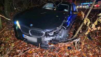 BMW im Laub, Unfallspuren sichtbar.