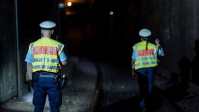 Lebensgefährlicher Gleisgang in Harburg: Bundespolizei stoppt S-Bahnverkehr und rettet 48-Jährige aus Tunnelbereich